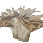 Teak-Root-Scoop-Dining-Table-Main-INJ0760A7-Close.jpg