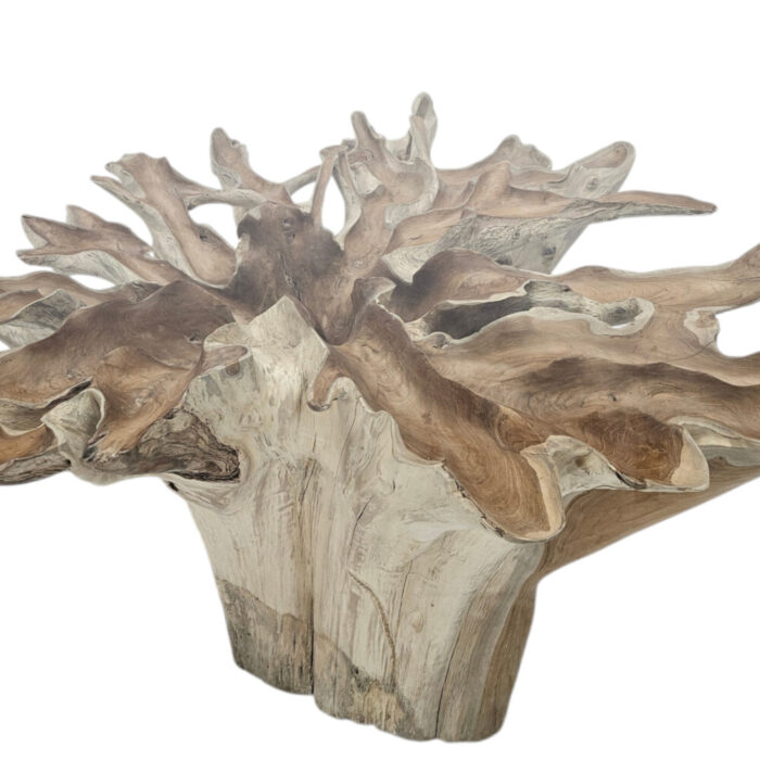 Teak-Root-Scoop-Dining-Table-Main-INJ0760A7-Close.jpg