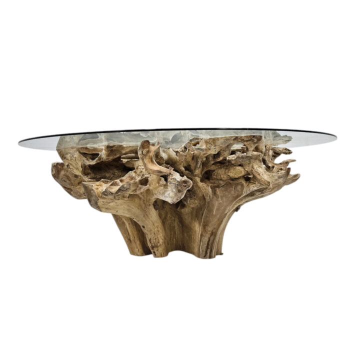 Teak-Root-Scoop-Dining-Table-Main-INJ0770A4-Front.jpg