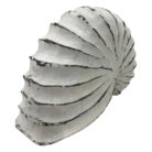 UAS7050-Shell-Ammonite-Wooden-White-Wash-20x8x15cm-Side-Sotran.jpg