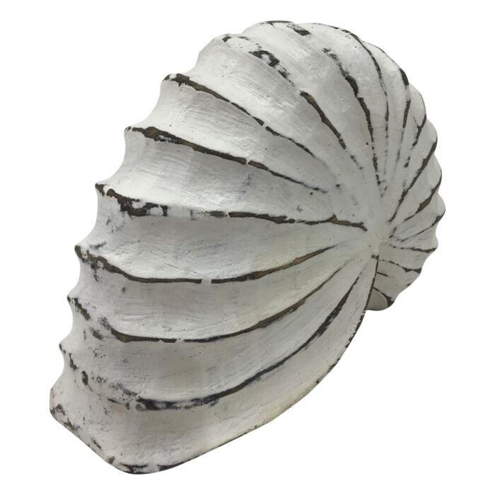 UAS7050-Shell-Ammonite-Wooden-White-Wash-20x8x15cm-Side-Sotran.jpg