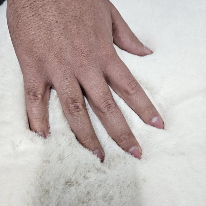 WHISTFUL-Cream-Carpet-Rug-Plush-Close-Up-rotated-1.jpg