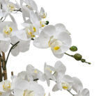 White-Faux-Orchid-Black-Pot-Close-1.jpg