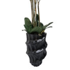 White-Faux-Orchid-Black-Pot-Close.jpg