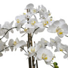 White-Faux-Orchid-Black-Pot-Flowers.jpg