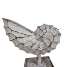 White-Wash-Wooden-Shell-On-Stand-17cm-Close-Up.jpg