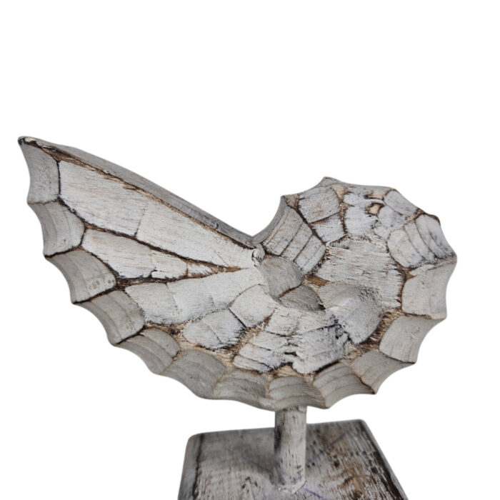 White-Wash-Wooden-Shell-On-Stand-17cm-Close-Up.jpg