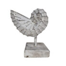 White-Wash-Wooden-Shell-On-Stand-20cm.jpg