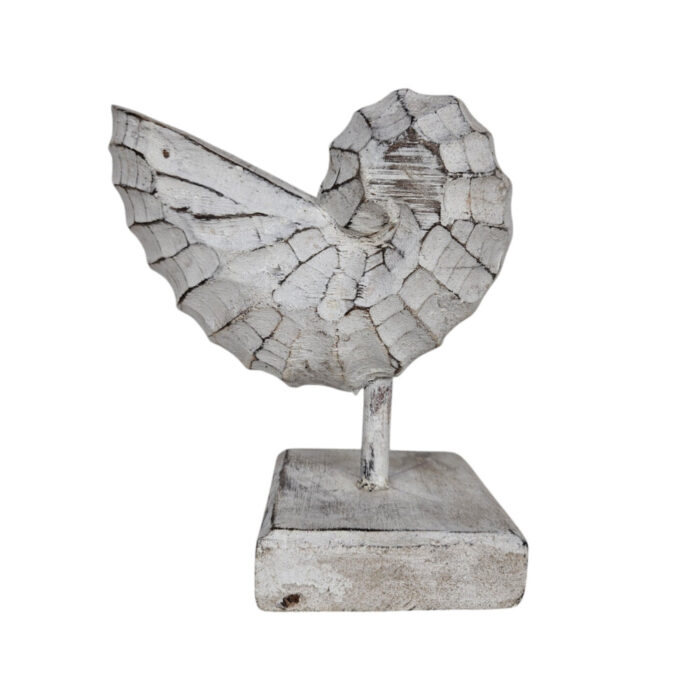 White-Wash-Wooden-Shell-On-Stand-20cm.jpg