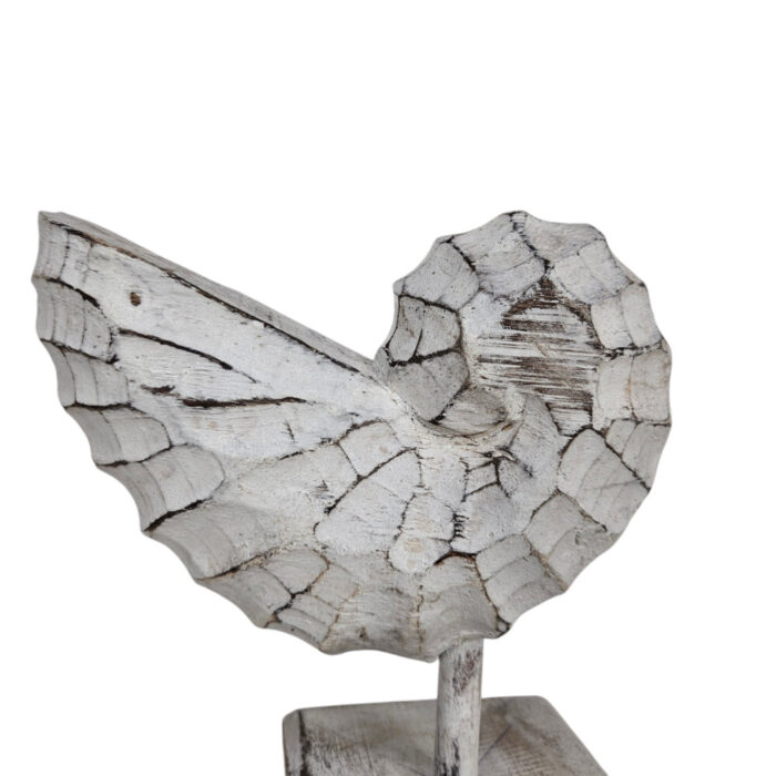 White-Wash-Wooden-Shell-On-Stand-20cm-Close-Up.jpg