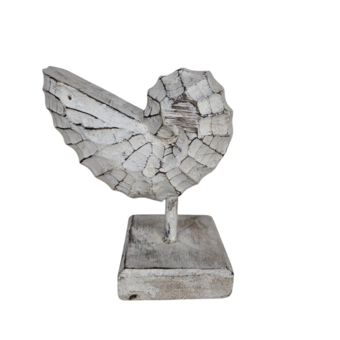 White-Wash-Wooden-Shell-On-Stand-25cm.jpg
