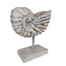 White-Wash-Wooden-Shell-On-Stand-25cm-Side.jpg