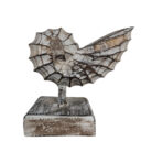 Wooden-Shell-On-A-Stand-17cm.jpg