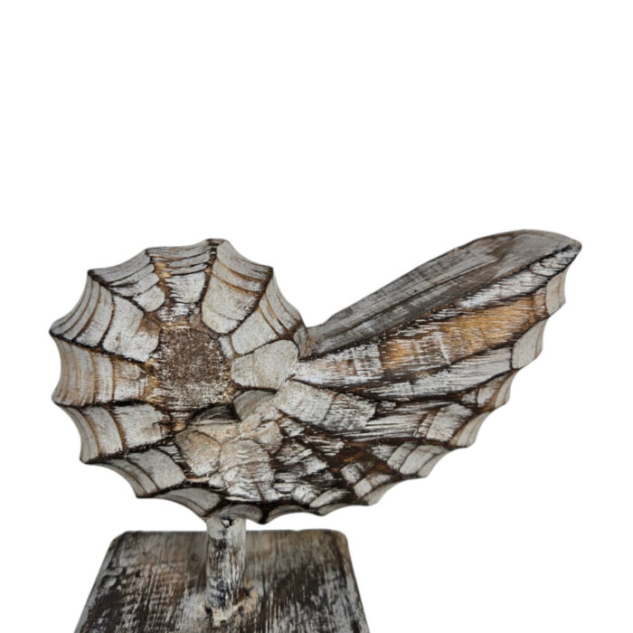 Wooden-Shell-On-A-Stand-17cm-Close-Up.jpg