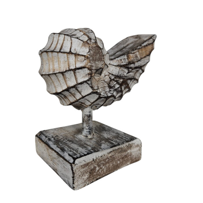 Wooden-Shell-On-A-Stand-17cm-Side.jpg