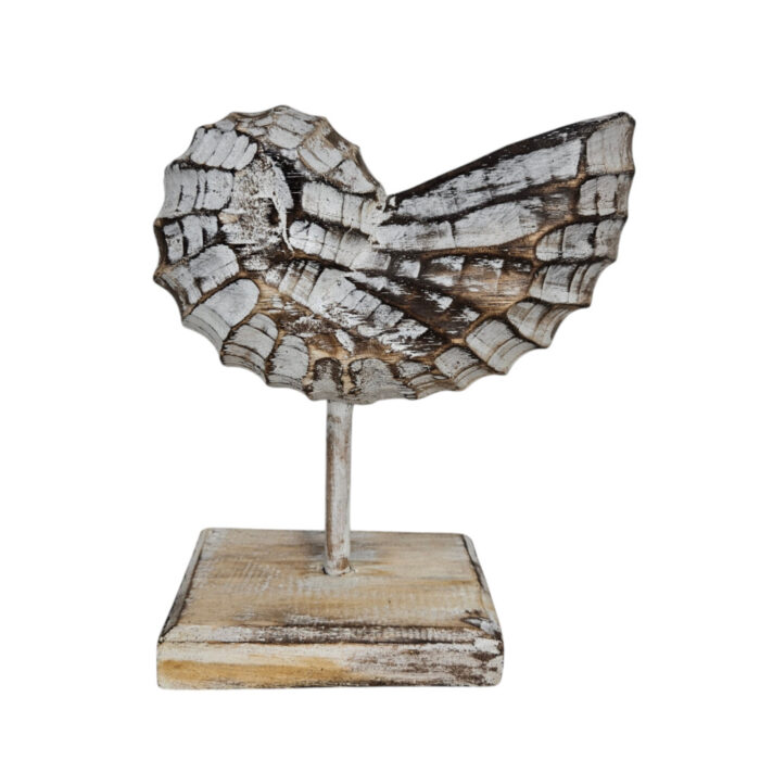 Wooden-Shell-On-A-Stand-25cm.jpg