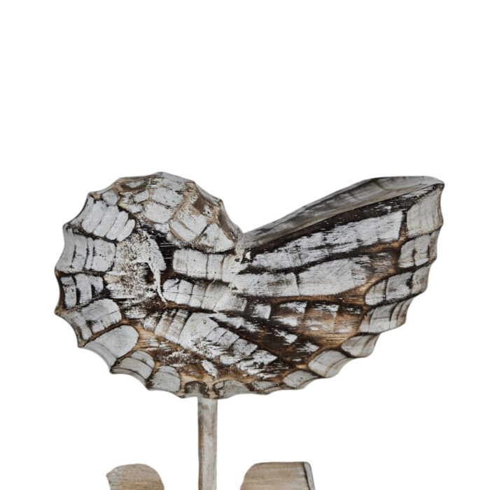 Wooden-Shell-On-A-Stand-25cm-Close-Up.jpg