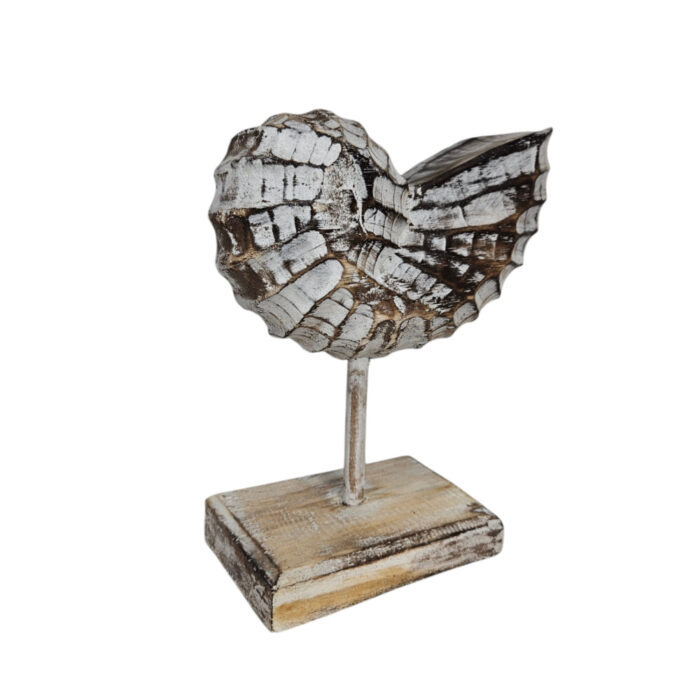Wooden-Shell-On-A-Stand-25cm-Side.jpg