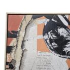 Zebra Wall Art FCL7828 Close