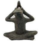 frog-yoga-dark-grey-sotran-scaled-e1585310789109.jpg