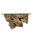 Erosi Teak Root Coffee Table