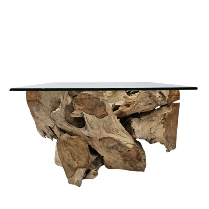 Erosi Teak Root Coffee Table
