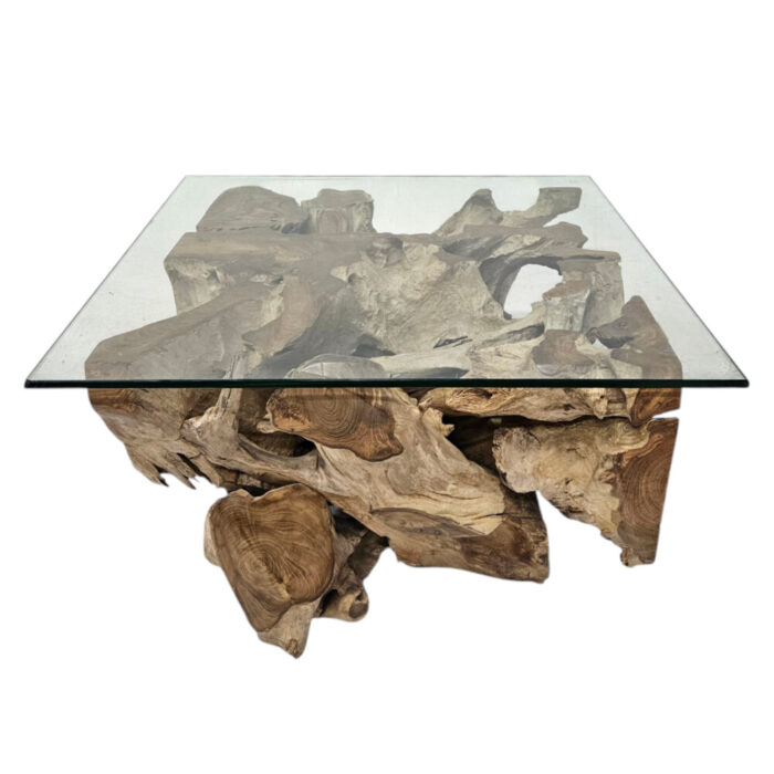 Erosi Teak Root Coffee Table