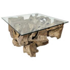 Erosi Teak Root Coffee Table