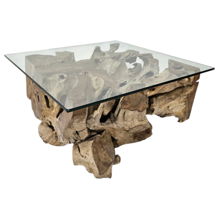 Erosi Teak Root Coffee Table