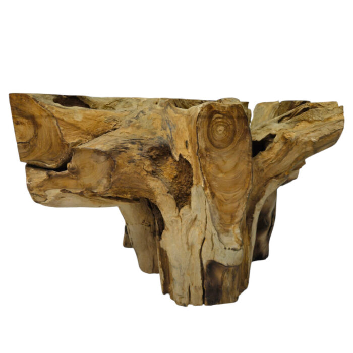 Erosi Teak Root Coffee Table