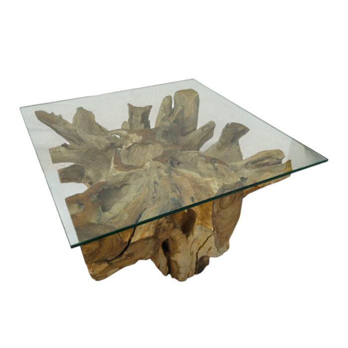 Erosi Teak Root Coffee Table