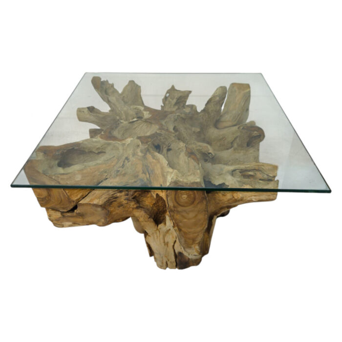 Erosi Teak Root Coffee Table