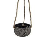 Terra Ivy Hanging Planter Pot