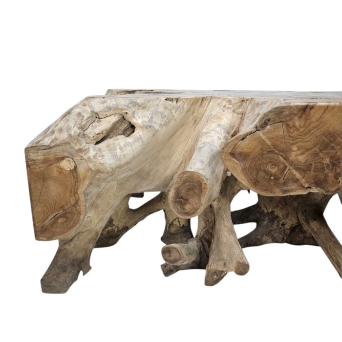 Block Coffee Root Table INJ9600C Close Up