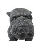 Cast GRC Bulldog Close