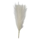 Pampass Grass White Cream