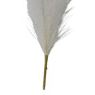 Pampass Grass White Cream Close