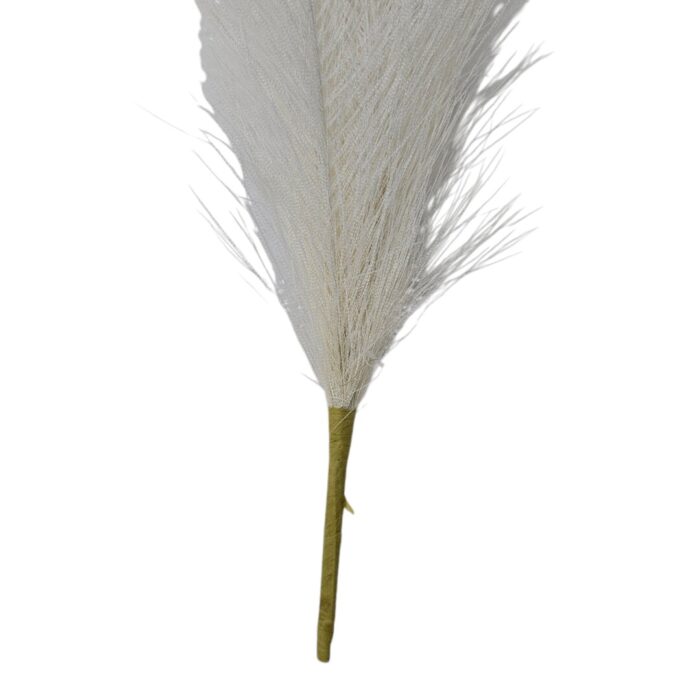 Pampass Grass White Cream Close