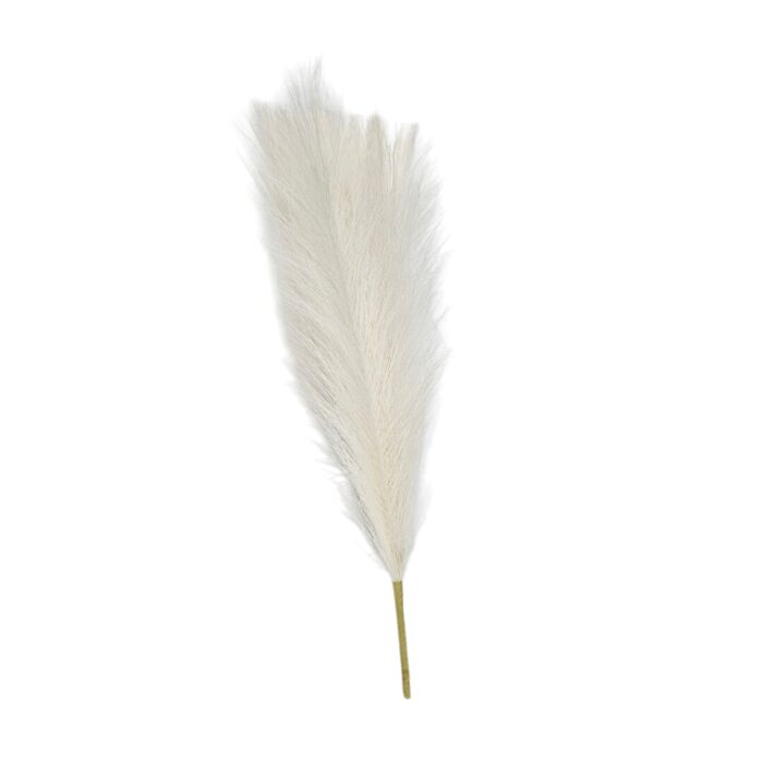 Pampass Grass White Cream Side