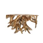 Root Scoop Console Table INJ4990B Top