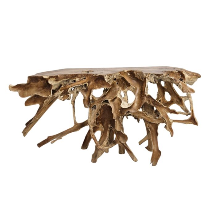Root Scoop Console Table INJ5001F Top