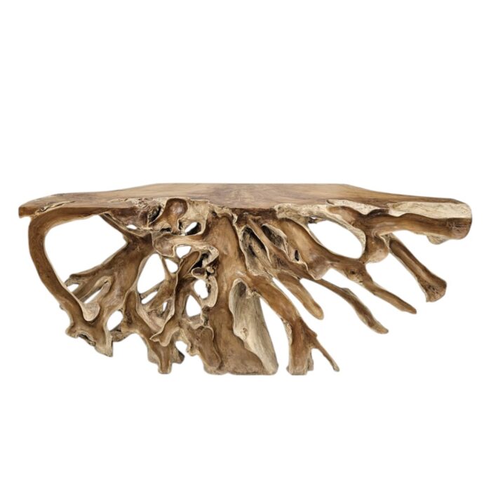 Root Scoop Console Table INJ5060A5 Top