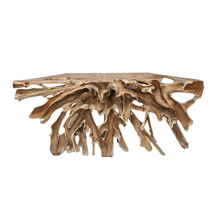 Root Scoop Console Table INJ5070D Top