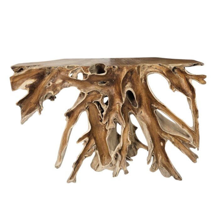 Scoop Teak Console Table Root INJ4990C top