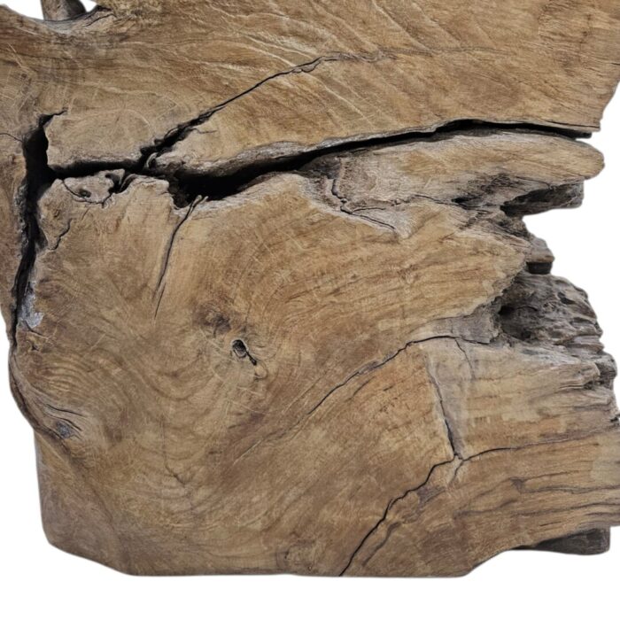 Akar Stool Teak Root Front MUL9008 Close Up