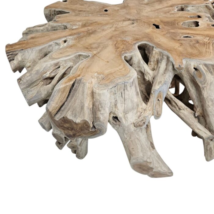 Coffee Table Teak Root INJ3010A2 Close