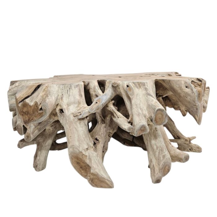 Coffee Table Teak Root INJ3010A2 Front