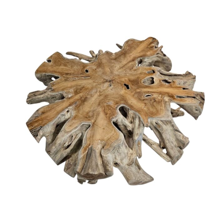 Coffee Table Teak Root INJ3010A2 Top