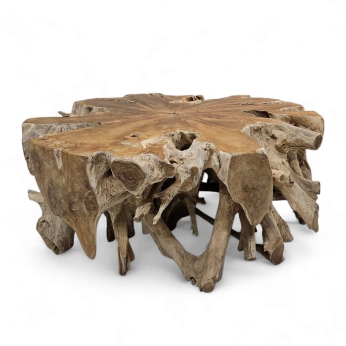 Coffee Table Teak Root INJ3010A3
