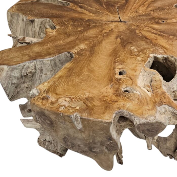 Coffee Table Teak Root INJ3010A3 Close